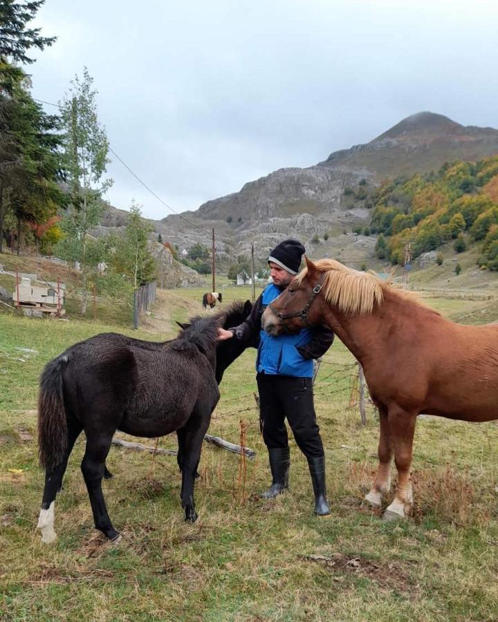 Katun Mokra Accommodation & Horseback Riding Podgorica Exterior foto