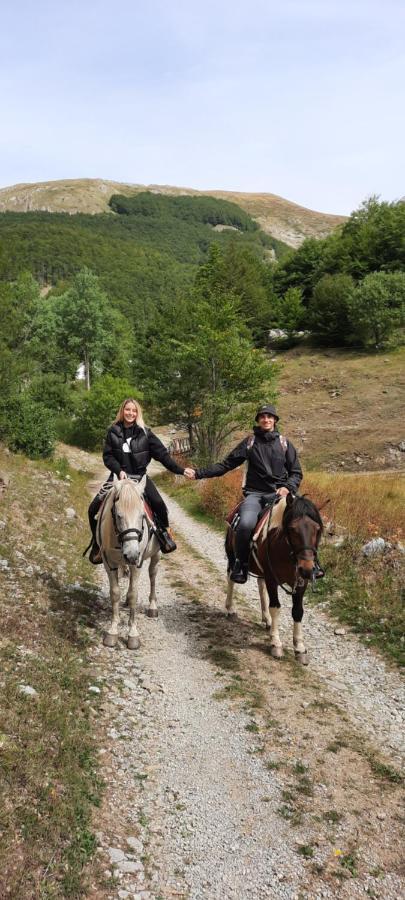 Katun Mokra Accommodation & Horseback Riding Podgorica Exterior foto