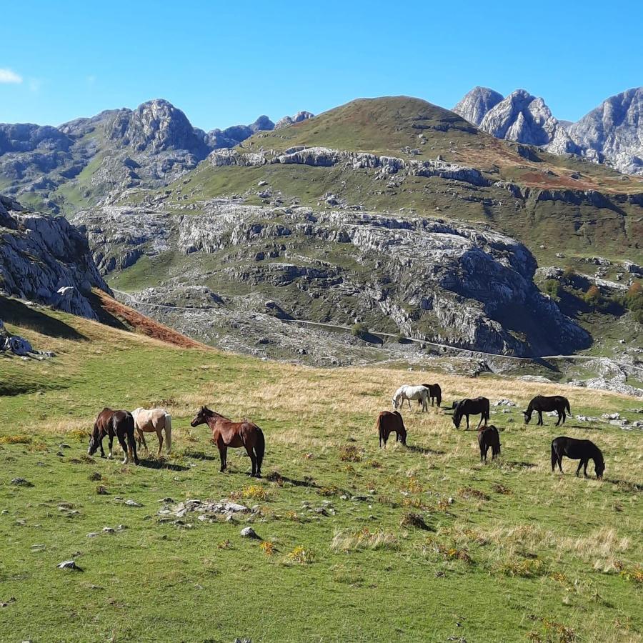 Katun Mokra Accommodation & Horseback Riding Podgorica Exterior foto