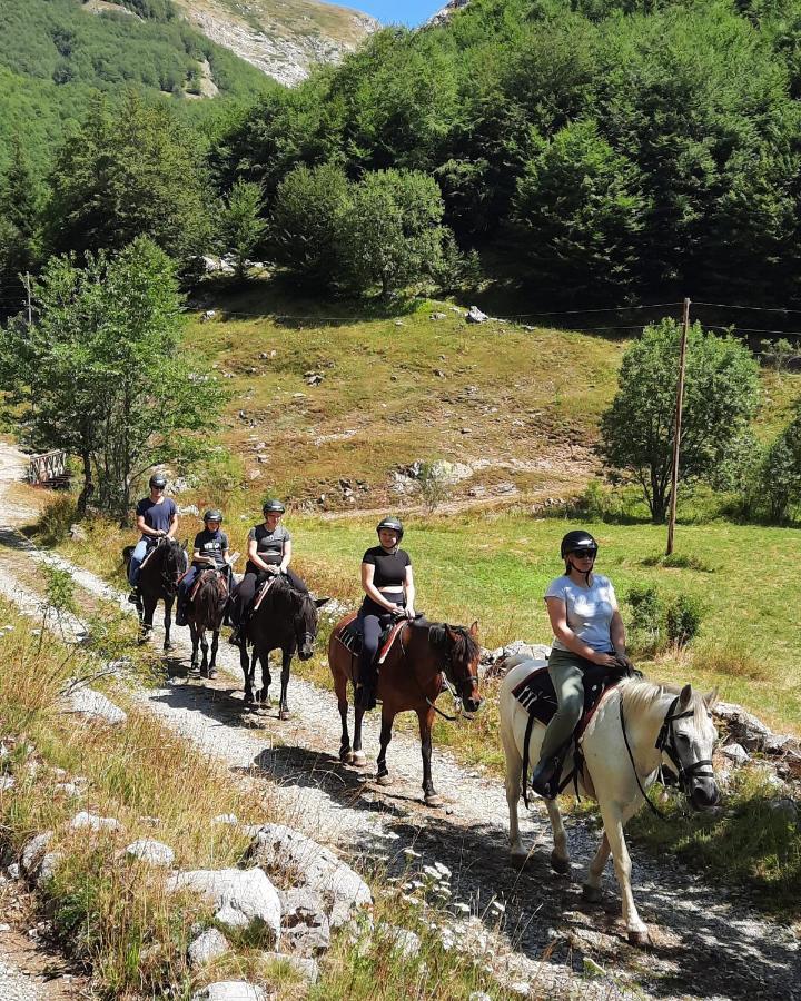 Katun Mokra Accommodation & Horseback Riding Podgorica Exterior foto