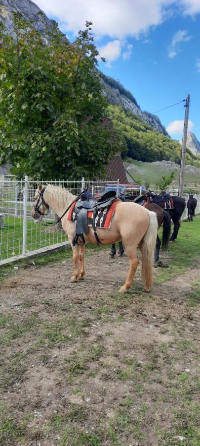Katun Mokra Accommodation & Horseback Riding Podgorica Exterior foto