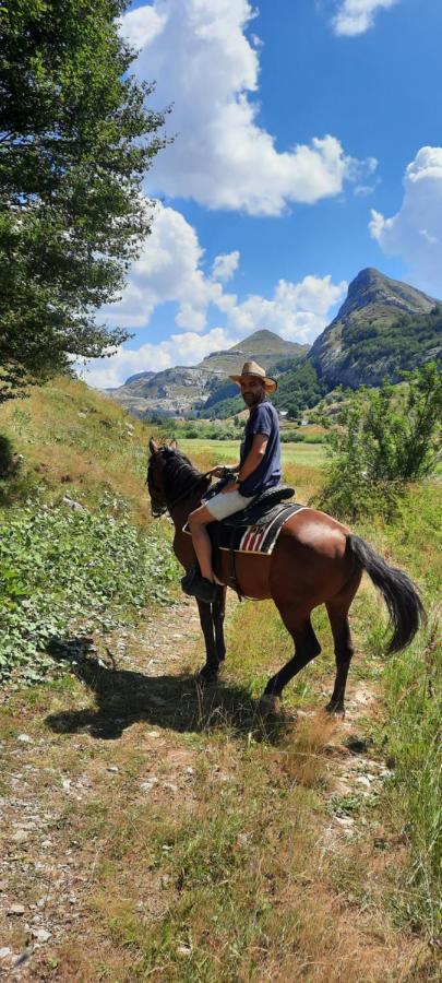 Katun Mokra Accommodation & Horseback Riding Podgorica Exterior foto