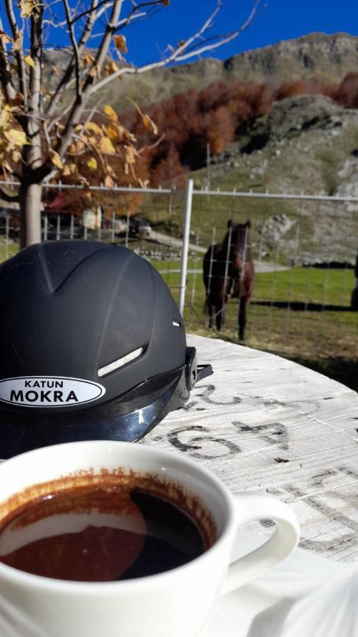 Katun Mokra Accommodation & Horseback Riding Podgorica Exterior foto