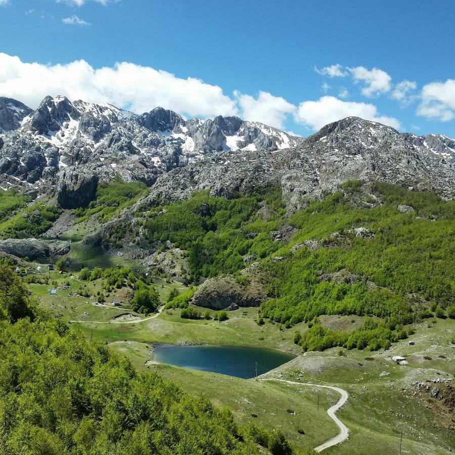 Katun Mokra Accommodation & Horseback Riding Podgorica Exterior foto