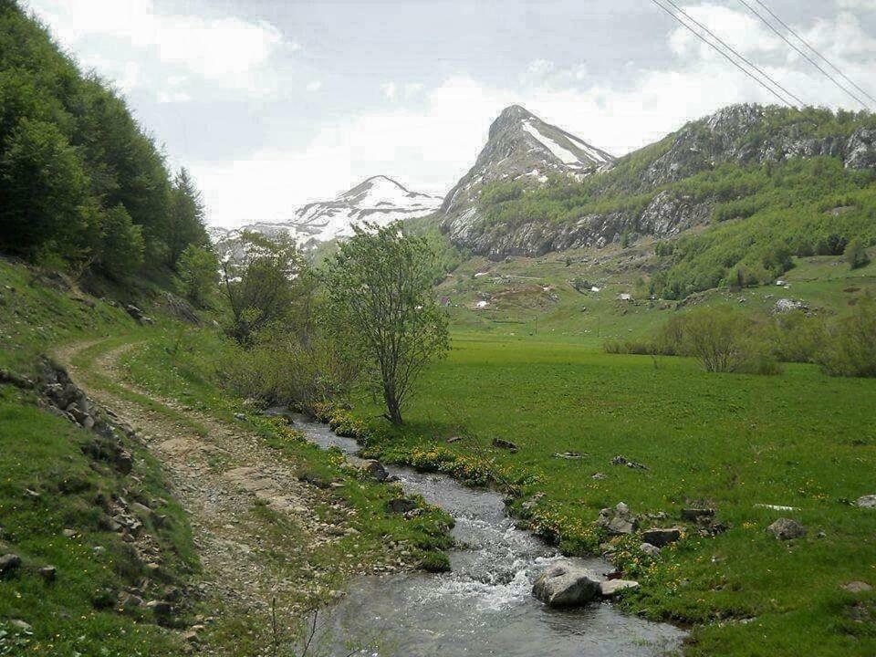 Katun Mokra Accommodation & Horseback Riding Podgorica Exterior foto